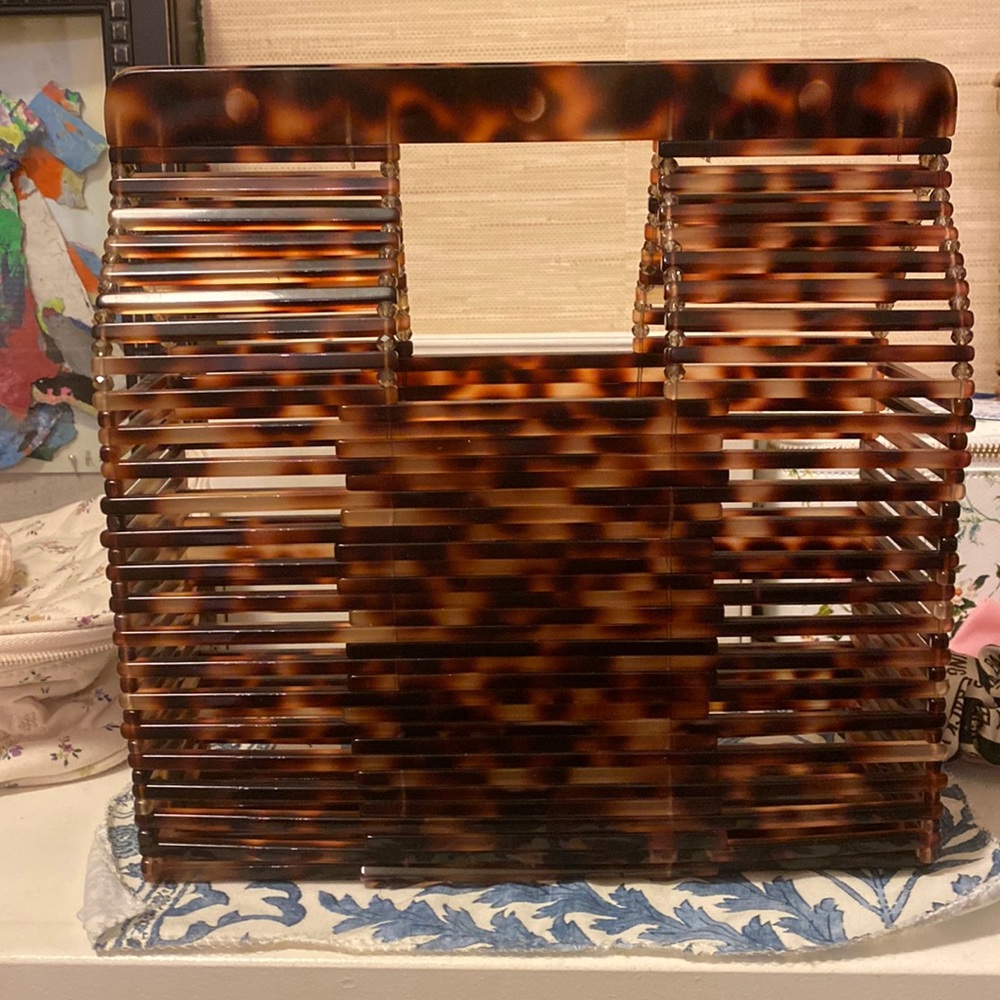 Anthropologie Tortoise Acrylic Purse
